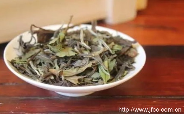 寿眉属于白茶吗