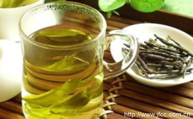 苦丁茶与茶叶的区别