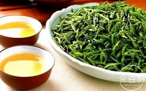 松溪小白茶属于什么茶
